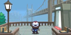 pokemon-black-and-white.jpg