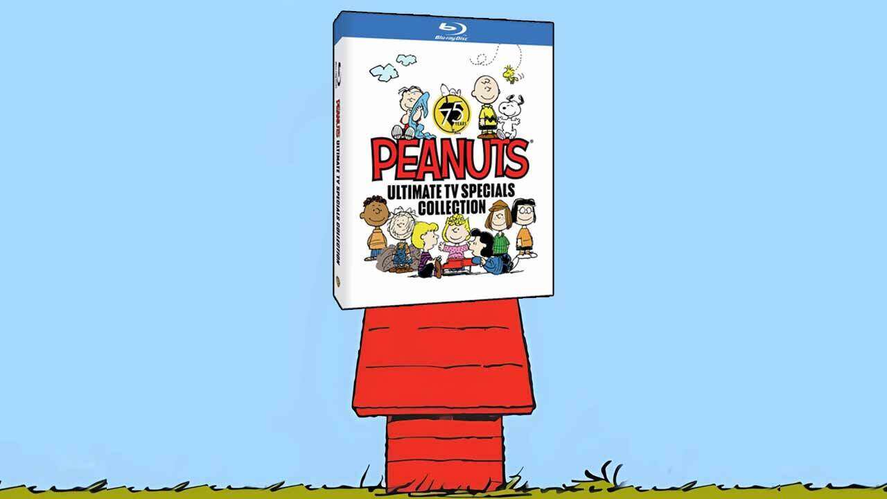 4558333-peanuts-special-main.jpg
