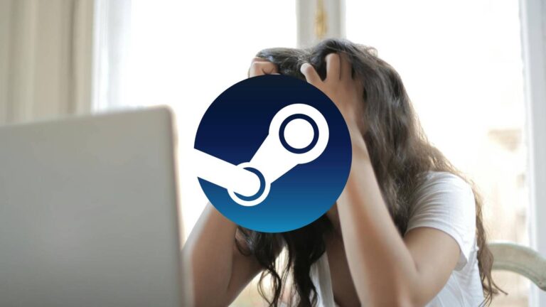 frustrated-person-looking-at-laptop-logo-steam.jpg