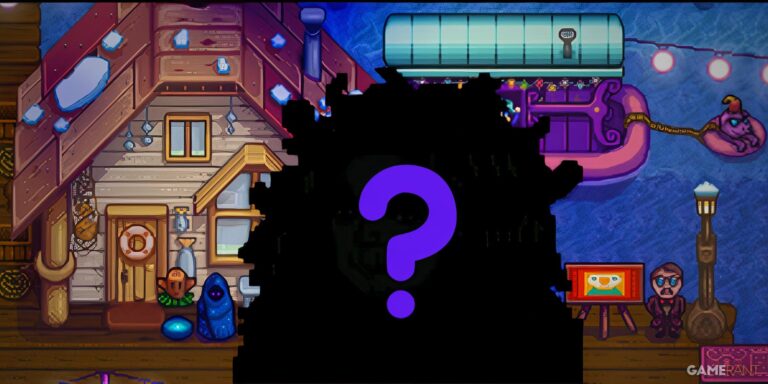 stardew-valley-dark-background-with-blacked-out-birdie-the-pirate-s-wife-quest.jpg