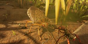 stink-bug-grounded-2.jpg