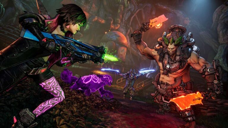 4566373-borderlands4coop.jpg