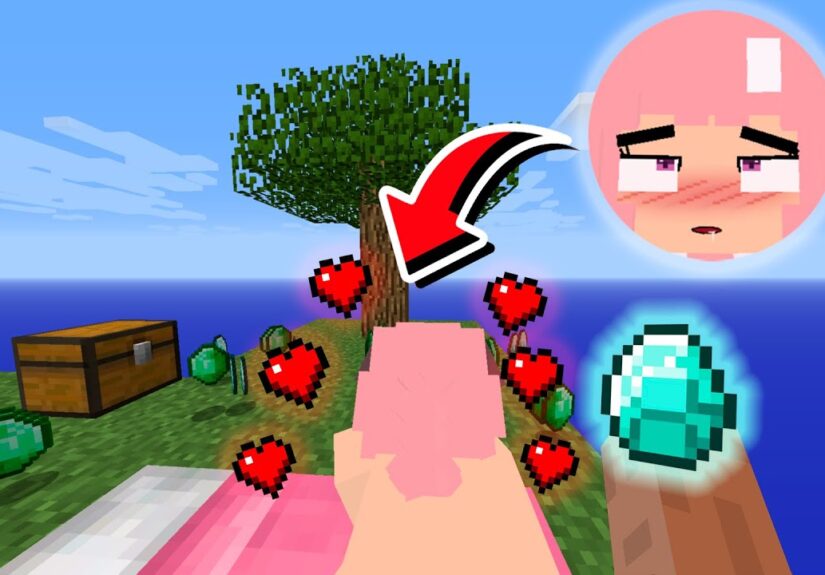 What Happens If You Give Jenny-Tyan an Diamond in Minecraft