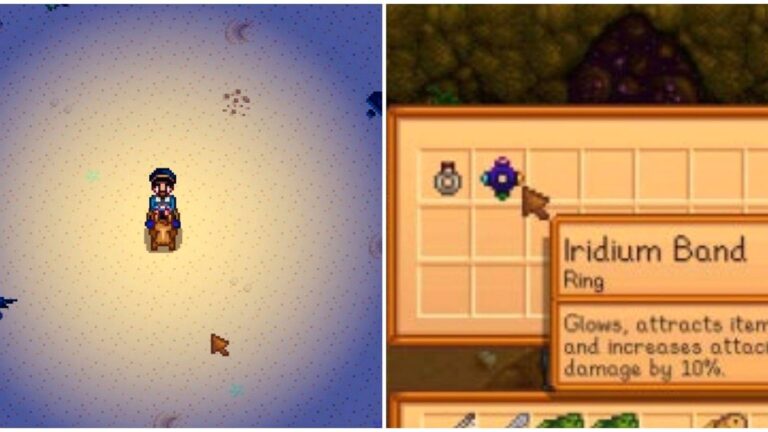 best-rings-stardew-valley-guide.jpg