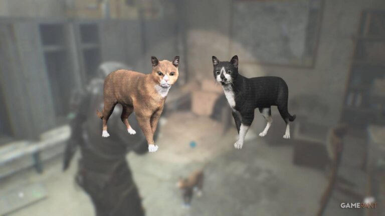 cats-locations-in-cronos-the-new-dawn-featured-image.jpg