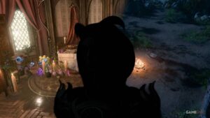 if-any-baldur-s-gate-3-character-deserves-to-be-a-camp-follower-it-s-this-act-3-npc-nocturne-bg3-1.jpg