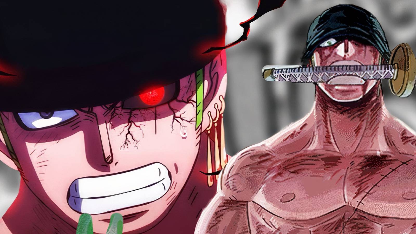one-piece_-oda-finally-confirms-zoro-s-new-haki-1.JPG