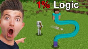 Minecraft On 1% Logic…