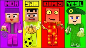 24 SAAT BOYUNCA TEK RENK CHALLENGE! 😱 - Minecraft