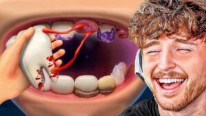 Becoming a PROFFESIONAL DENTIST.. (VR)