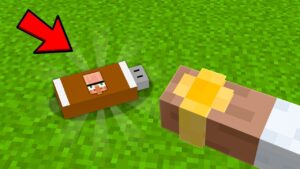 I Found Doorbin's Secret USB Pendrive in Minecraft..