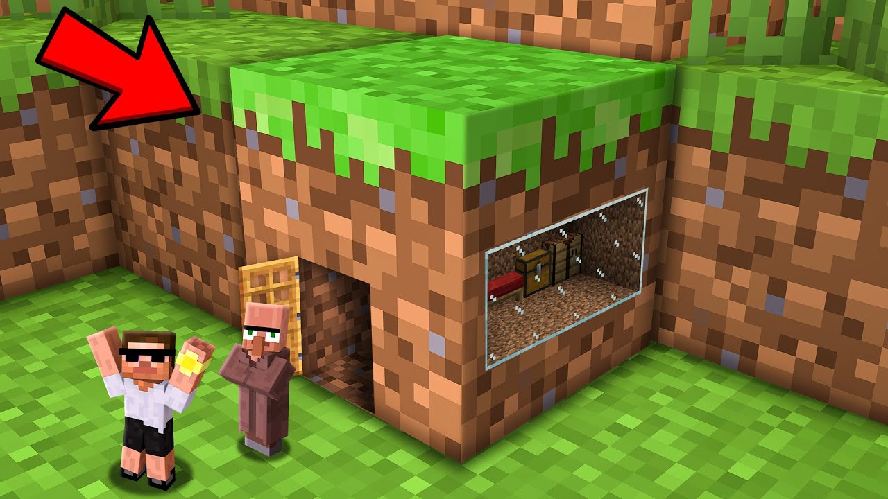 Carry & Doorbin What's Inside Minecraft Blocks?