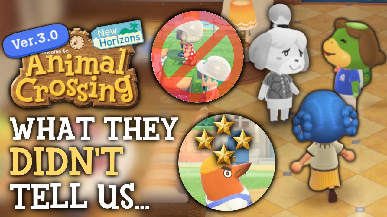 What Nintendo DIDN'T Tell You About 3.0 Update - Animal