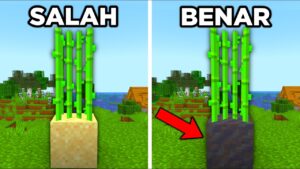 50 KESALAHAN Player Minecraft Yang Tidak Kalian Sadari