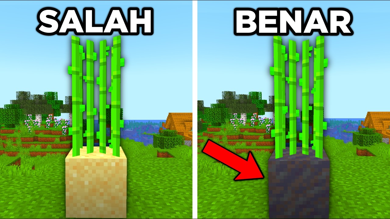 50 KESALAHAN Player Minecraft Yang Tidak Kalian Sadari