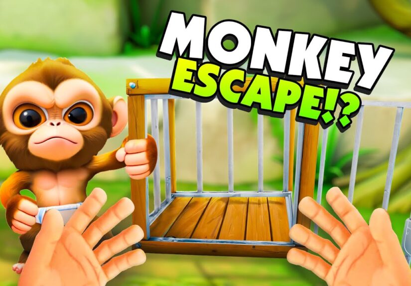 Helping a BABY MONKEY Escape From It's CAGE in I