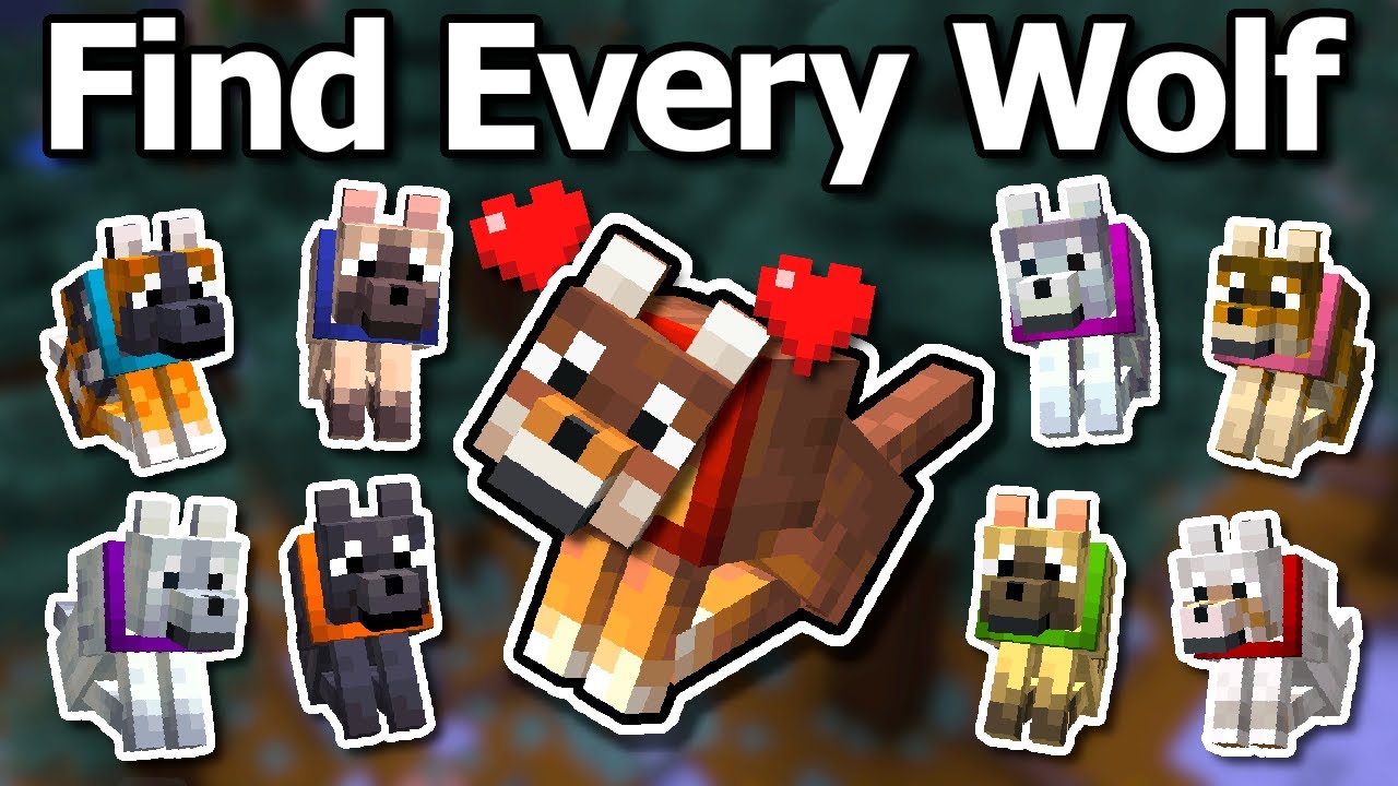 How To Find Every Wolf In Minecraft 1.21