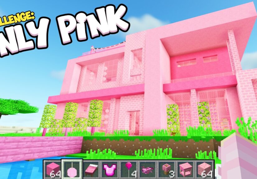 Minecraft BUT I Can Only Build With PINK!