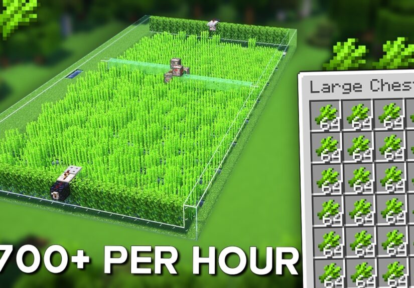 Minecraft Sugarcane Farm 1.21 - Automatic Sugarcane farm - 2,700+