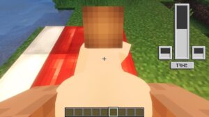 What if you give a diamond to Jenny in Minecraft?