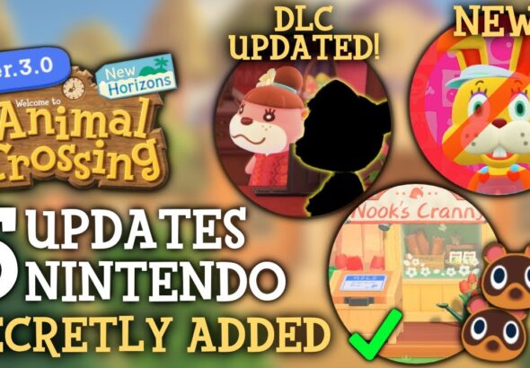 5 UPDATES & Features Nintendo SECRETLY Added In 3.0 -