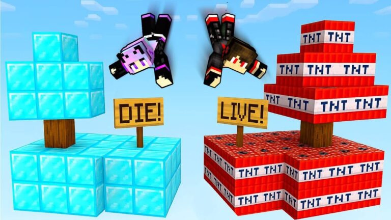 POOR vs RICH SKYBLOCK Challenge in Minecraft!