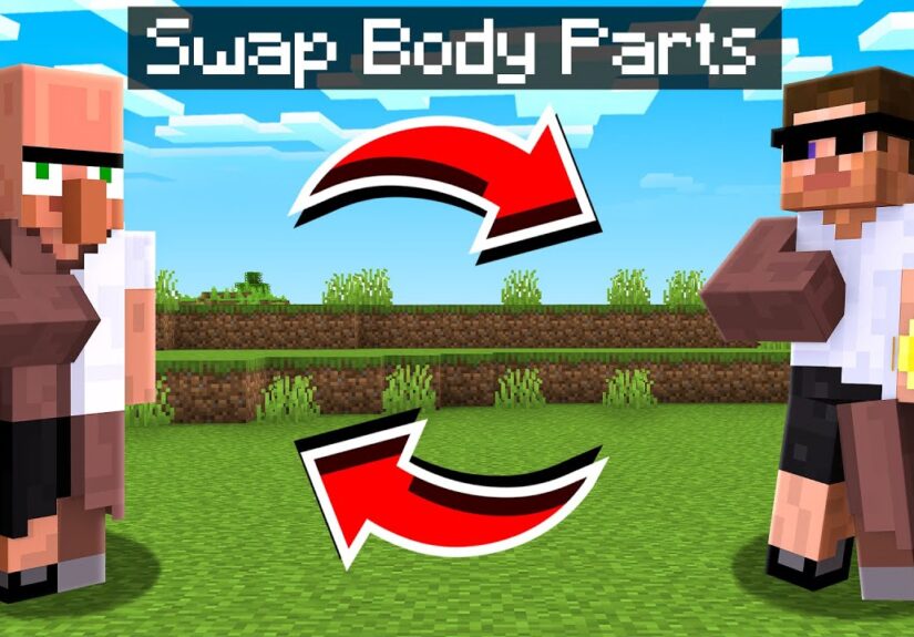 We Swapped Body Parts in Minecraft..