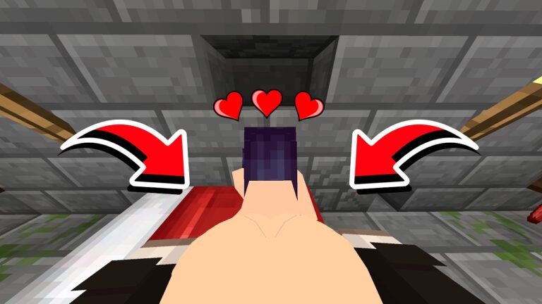 What Happens If You Give Jenny-Tyan an Diamond in Minecraft