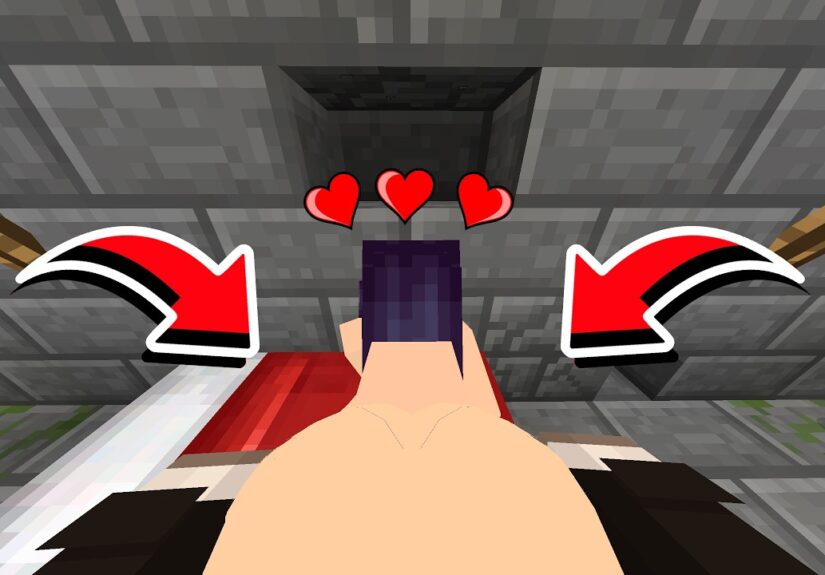 What Happens If You Give Jenny-Tyan an Diamond in Minecraft