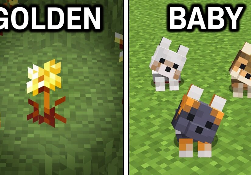 43 NEW Changes In Minecraft 26.1