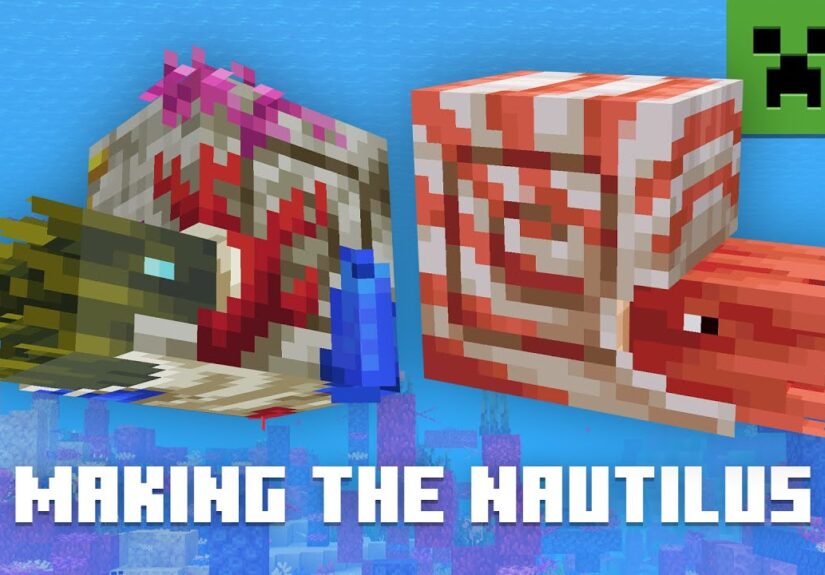 ALL ABOUT THE NAUTILUS