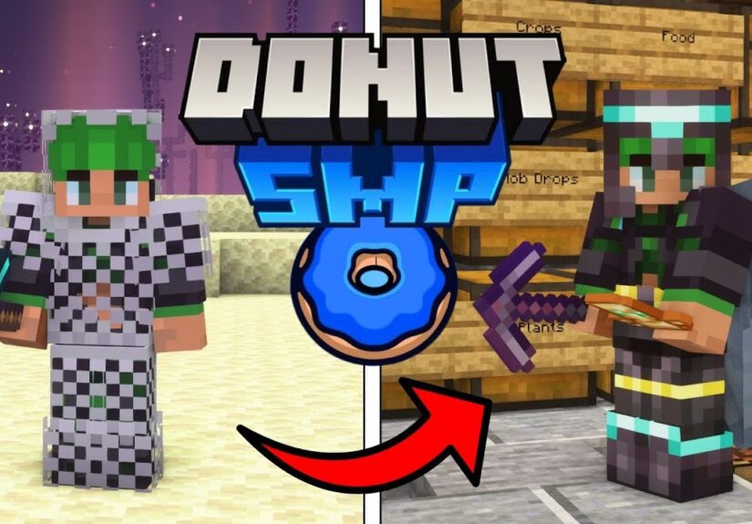 The BEST Start on the DonutSMP?