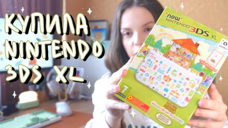 New Nintendo 3DS XL в 2025 году / Аксессуары для