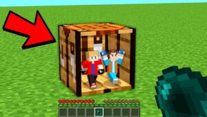 como ENTRAR em QUALQUER BLOCO do Minecraft!
