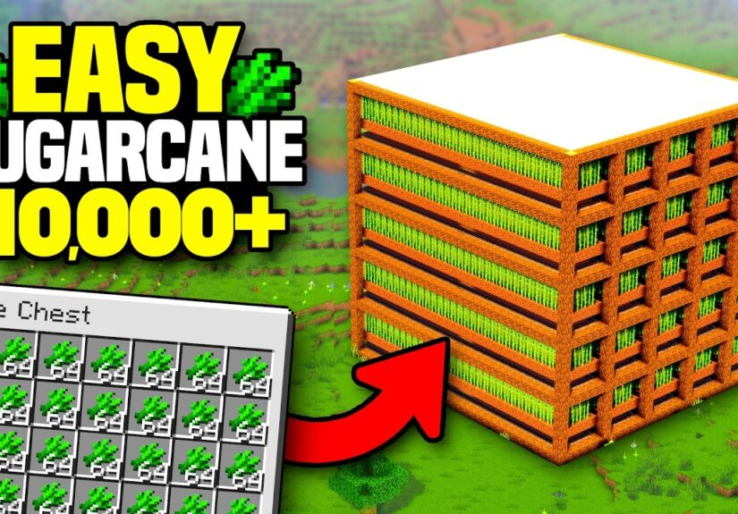 NEW BEST SUGARCANE FARM Minecraft 1.21/26.1! (10,000/h)